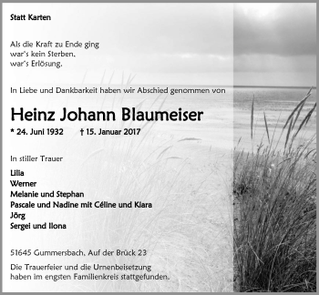 Anzeige von Heinz Johann Blaumeiser von  Anzeigen Echo 