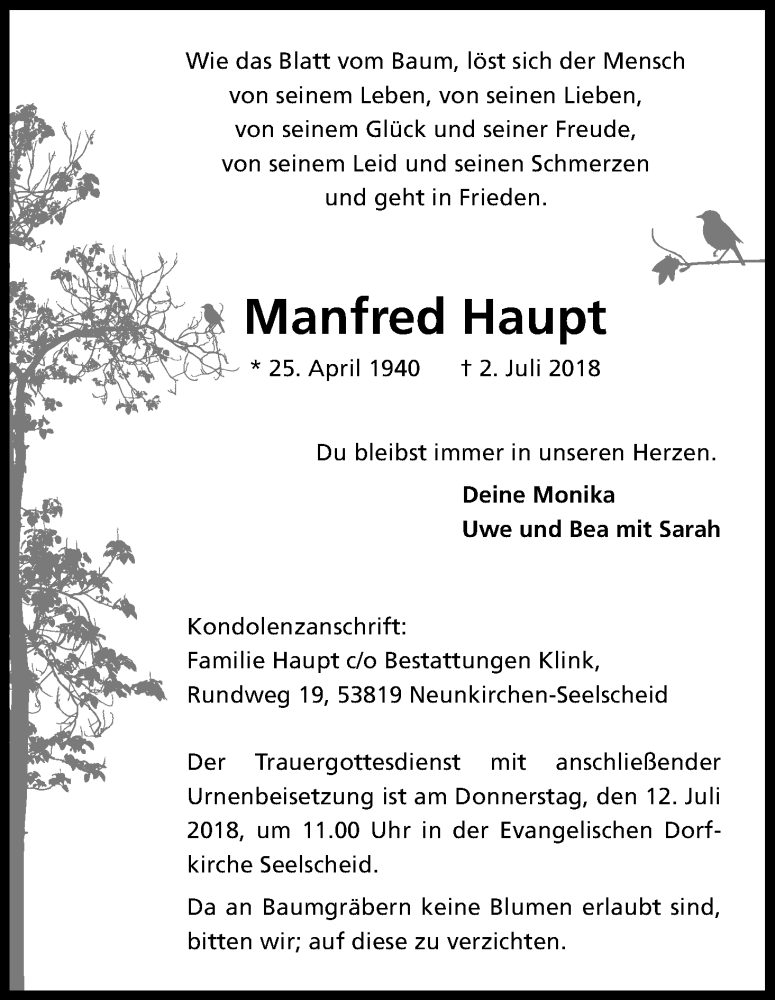  Traueranzeige für Manfred Haupt vom 07.07.2018 aus HS