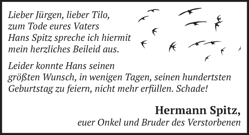  Traueranzeige für Hans Spitz vom 30.10.2020 aus  Schlossbote/Werbekurier 