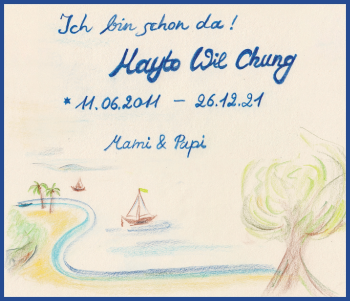 Anzeige von Mayto Wil Chung von Kölner Stadt-Anzeiger / Kölnische Rundschau / Express