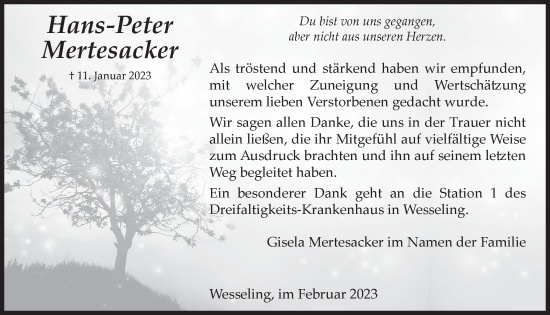 Anzeige von Hans-Peter Mertesacker von  Schlossbote/Werbekurier 