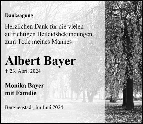 Anzeige von Albert Bayer von  Anzeigen Echo 