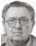 Profilbild Josef Brinsa
