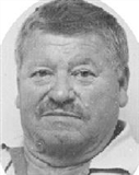 Profilbild Manfred Pitsch