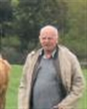 Profilbild Peter Demmer