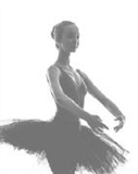 Profilbild Sandra Dieken-Koy