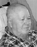 Profilbild Wolfgang Steinert