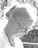 Profilbild Anna-Maria Jirzik