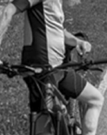 Profilbild Frank Lau