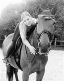Profilbild Julia Palmersheim