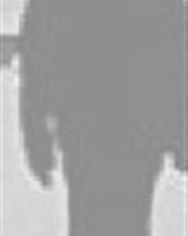 Profilbild von Manfred Wolf