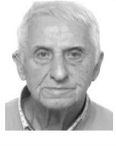 Profilbild Peter Hommes