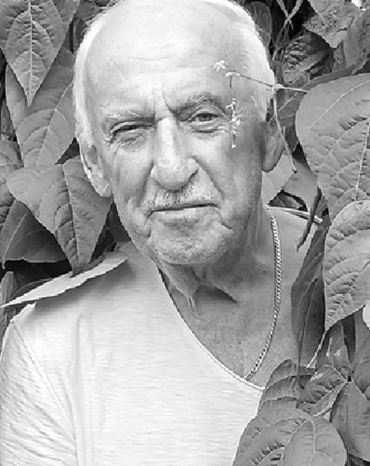 Profilbild Peter Schillberg