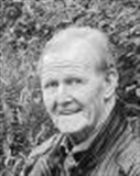 Profilbild Rainer Simon