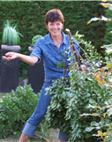 Profilbild Dr. Barbara  Hammerer