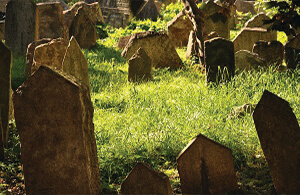 Der jüdische Friedhof