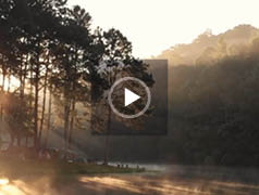 Beispiel Trauervideoanzeige Stille