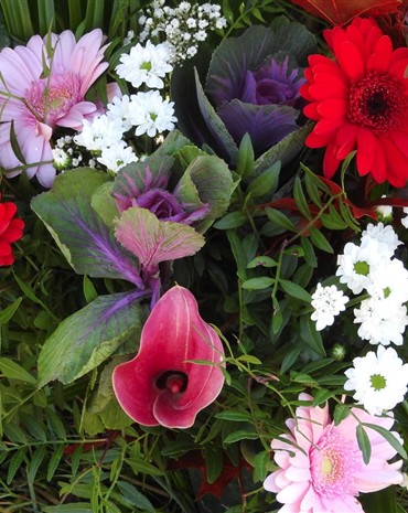 Profilbild Anna Hoffmann