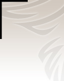 Profilbild Uli Trojan